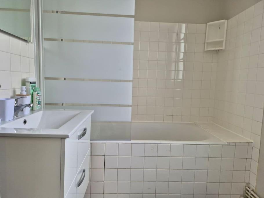 Les Carmes Apartment Angers Bagian luar foto